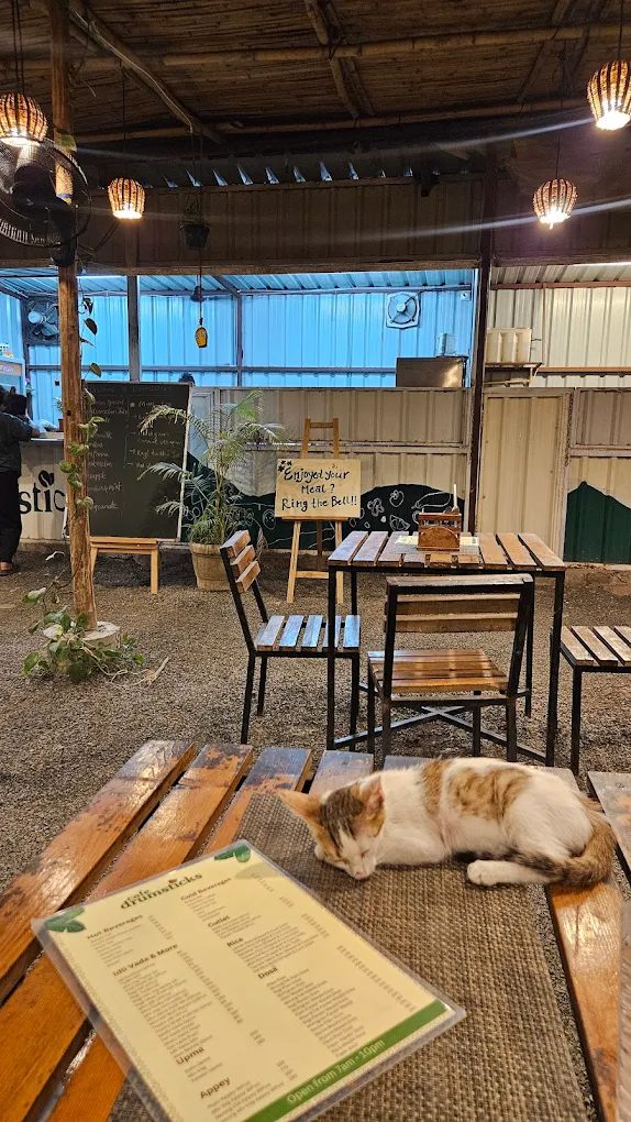 Even the resident cat approves